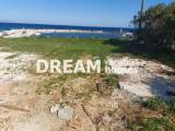 slide1 thumbnail