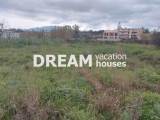 slide1 thumbnail