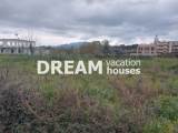 slide1 thumbnail