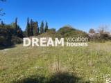 slide1 thumbnail