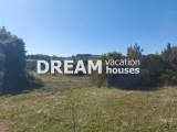 slide1 thumbnail