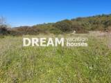 slide1 thumbnail