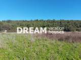 slide1 thumbnail