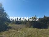 slide1 thumbnail