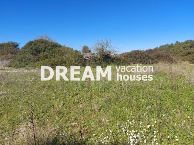 (For Sale) Land Agricultural Land  || Zakynthos (Zante)/Elatio - 11.000 Sq.m, 80.000€ 