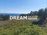 slide1 thumbnail