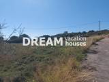 slide1 thumbnail
