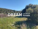 slide1 thumbnail