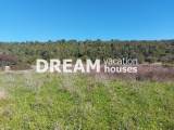 slide1 thumbnail