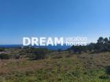slide1 thumbnail