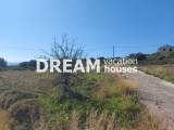 slide1 thumbnail