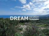 slide1 thumbnail