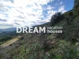 slide1 thumbnail