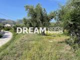 slide1 thumbnail