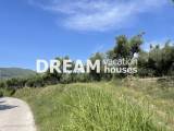 slide1 thumbnail