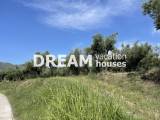 slide1 thumbnail