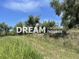 slide1 thumbnail