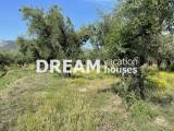 slide1 thumbnail