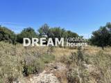 slide1 thumbnail