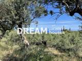 slide1 thumbnail
