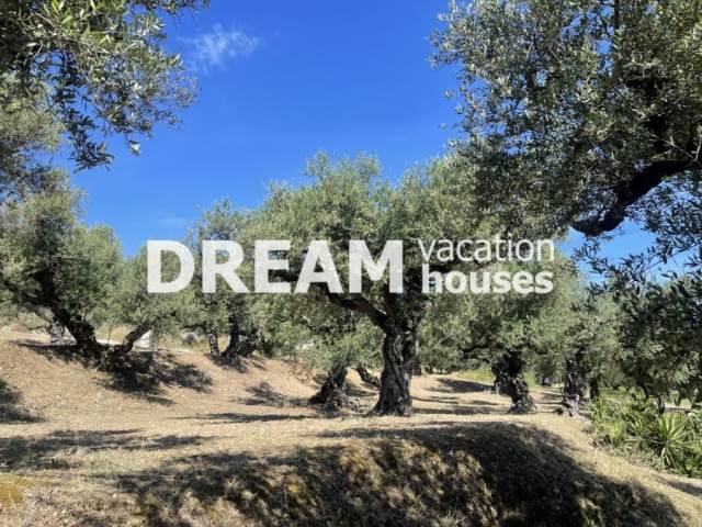 (En vente) Valorisation de la Terre Terrain || Zakynthos (Zante)/Alikes - 2.299 M2, 130.000€ 