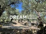 slide1 thumbnail