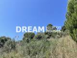 slide1 thumbnail