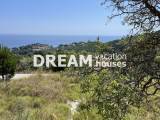 slide1 thumbnail