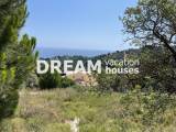 slide1 thumbnail