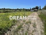 slide1 thumbnail