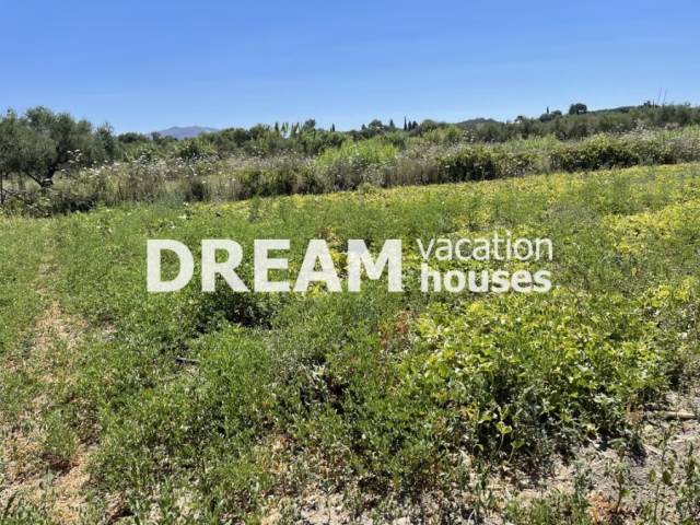 Land Plot | Zakynthos (Zante)/ Pantokratoras - 1.261 Sq.m, 110.000€ 