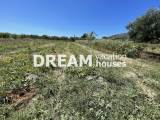slide1 thumbnail