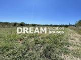 slide1 thumbnail