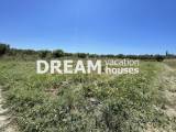 slide1 thumbnail