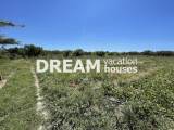 slide1 thumbnail