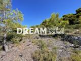 slide1 thumbnail