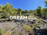 slide1 thumbnail