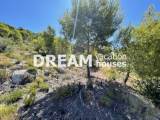 slide1 thumbnail