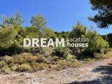 slide1 thumbnail