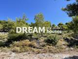 slide1 thumbnail