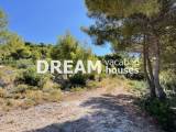 slide1 thumbnail