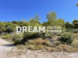 slide1 thumbnail