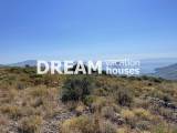 slide1 thumbnail