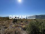 slide1 thumbnail