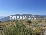 slide1 thumbnail