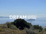 slide1 thumbnail