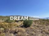 slide1 thumbnail