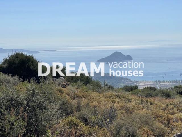 Land Agricultural Land  | Zakynthos (Zante)/Agalas - 4.000 Sq.m, 110.000€ 