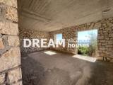slide1 thumbnail