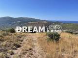 slide1 thumbnail
